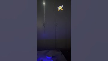 ProjeX Game #foryou #autismworld#viral #shorts #games #dubai #love #care #fun