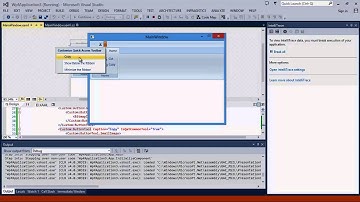Infragistics Developer Tools: WPF xamRibbon の利用方法（日本語字幕付）