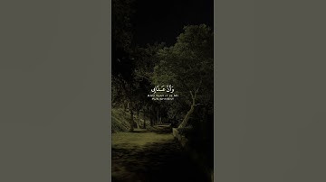 اجمل تلاوة القرآن الكريم| #قران_كريم #islam #quran #alhamdulillah #قرآن #تلاوة_القرآن