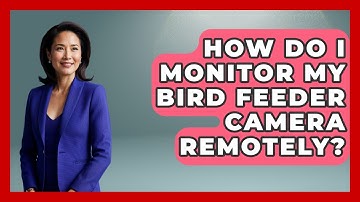 How Do I Monitor My Bird Feeder Camera Remotely? - Bird Watching Diaries
