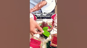 1 बेलपत्र 3 शमी पत्र का विशेष उपाय#pandit_pradeep_ji_mishra #shivmahapuran #shortsfeed #shorts