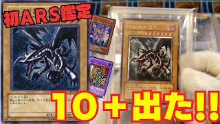 ARS鑑定 ARS10 ミノタウルス ノーマル スタジオダイス 初期 mqdefault.jpg