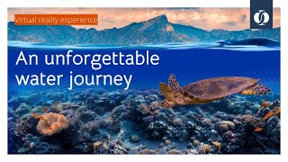 Step into a 360° VR journey through the world of water