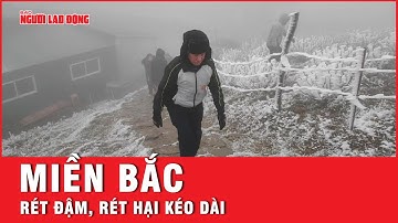 Rét đậm, rét hại kéo dài tại miền Bắc, vùng núi cao tiếp tục có mưa tuyết và băng giá | Tin tức