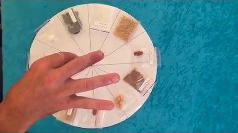 Pendulum dowsing - a quick introduction