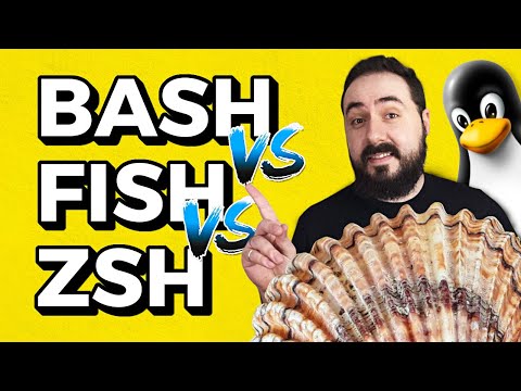 Qual o melhor SHELL? Diferenças entre BASH, ZSH e FISH