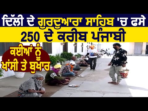 Delhi के Gurdwara Majnu Ka Tila Sahib में फसे 250 के करीब Punjabi, घर पहुंचाने की कर रहे अपील