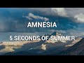 5 Seconds of Summer - Amnesia (Lyrics)