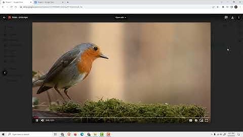 Google Docs Tutorial: How to Insert Video in Google Docs