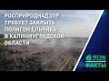 Росприроднадзор через суд требует закрыть полигон Ельняки в Калининградской области.