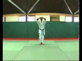 5  Bassai Dai Kata  Kumite Bunkai Didier Lupo