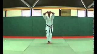 5  Bassai Dai Kata  Kumite Bunkai Didier Lupo