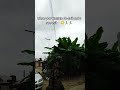 you need to watch this