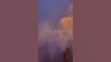 عبدالرحمن مسعد تلاوة هادئة افلا ينظرون إلى الإبل كيف خلقت
