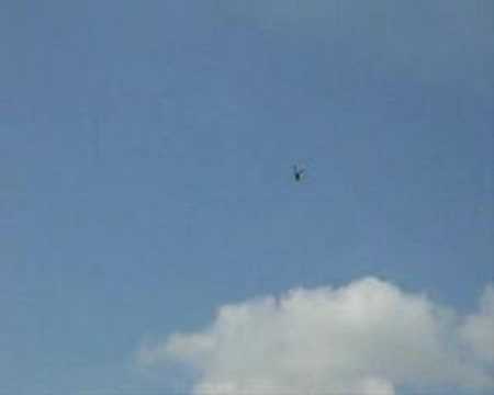 Trex 450s Inverted hovering