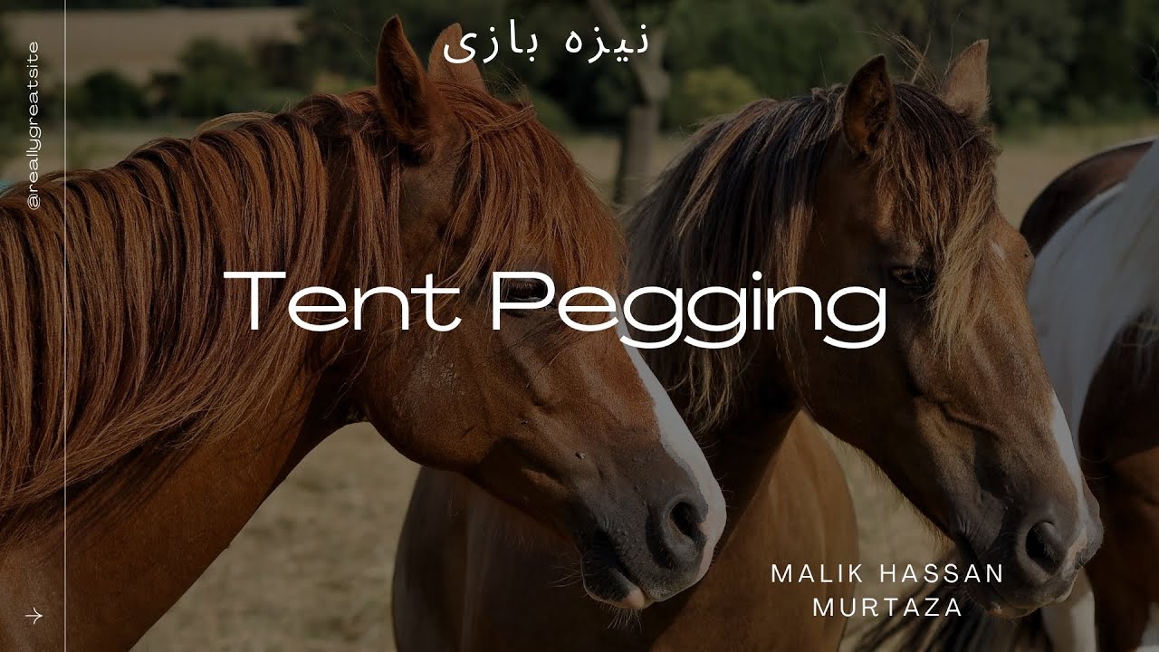 Extreme Speed & Precision: The Art of Tent Pegging (Full Action)