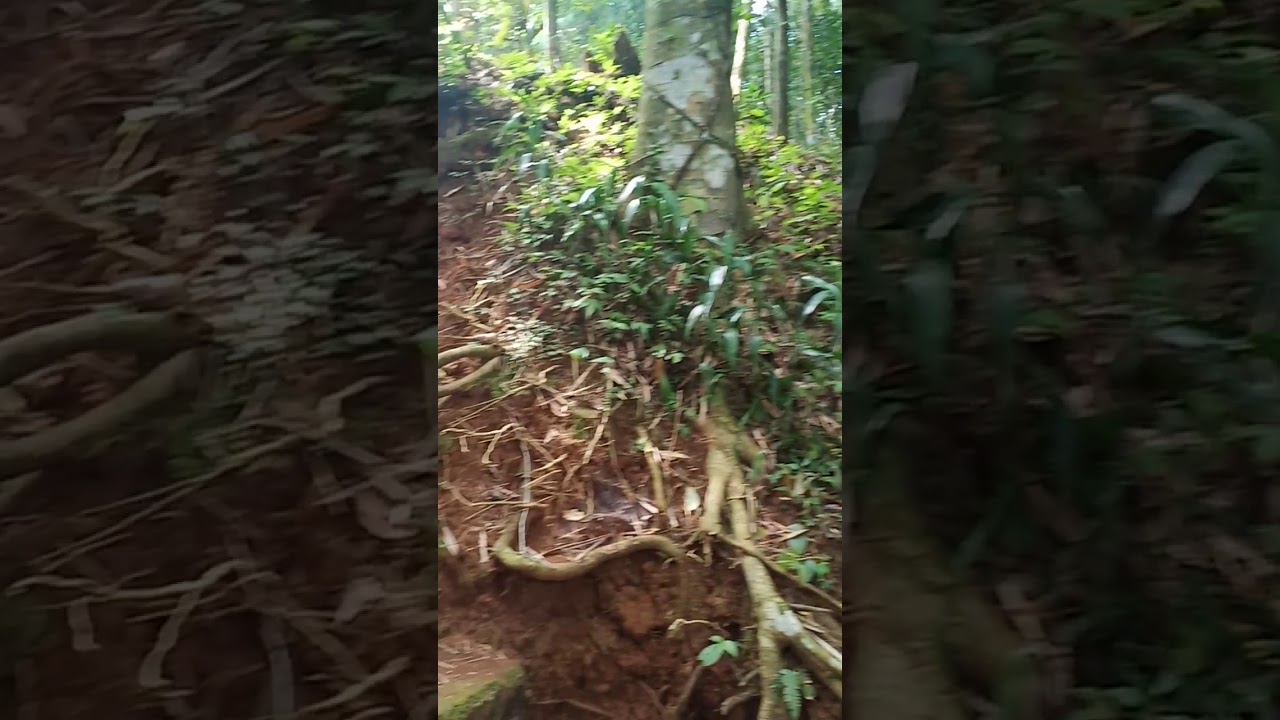 Petilasan Eyang Prabu Tajimalela Gunung Lingga Sumedang Selatan Youtube