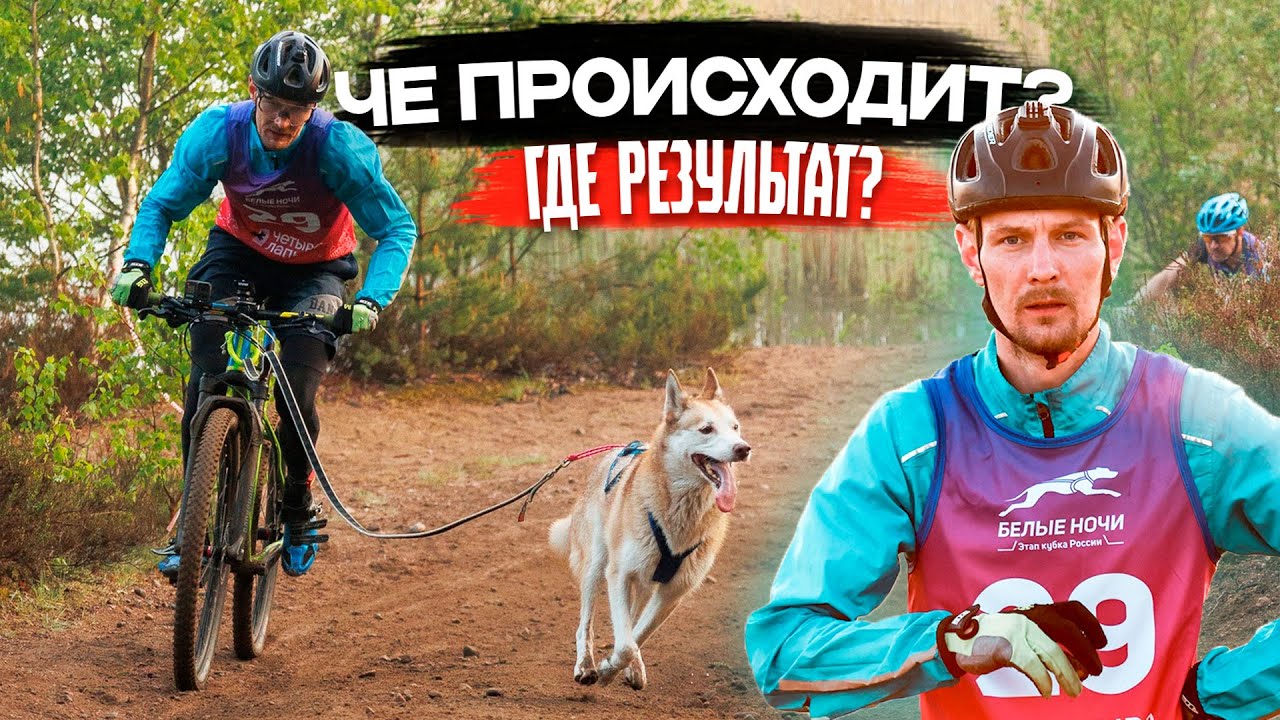 Ездовой спорт это команда в КОТОРОЙ У СОБАКИ МОГУТ БЫТЬ СВОИ ПЛАНЫ