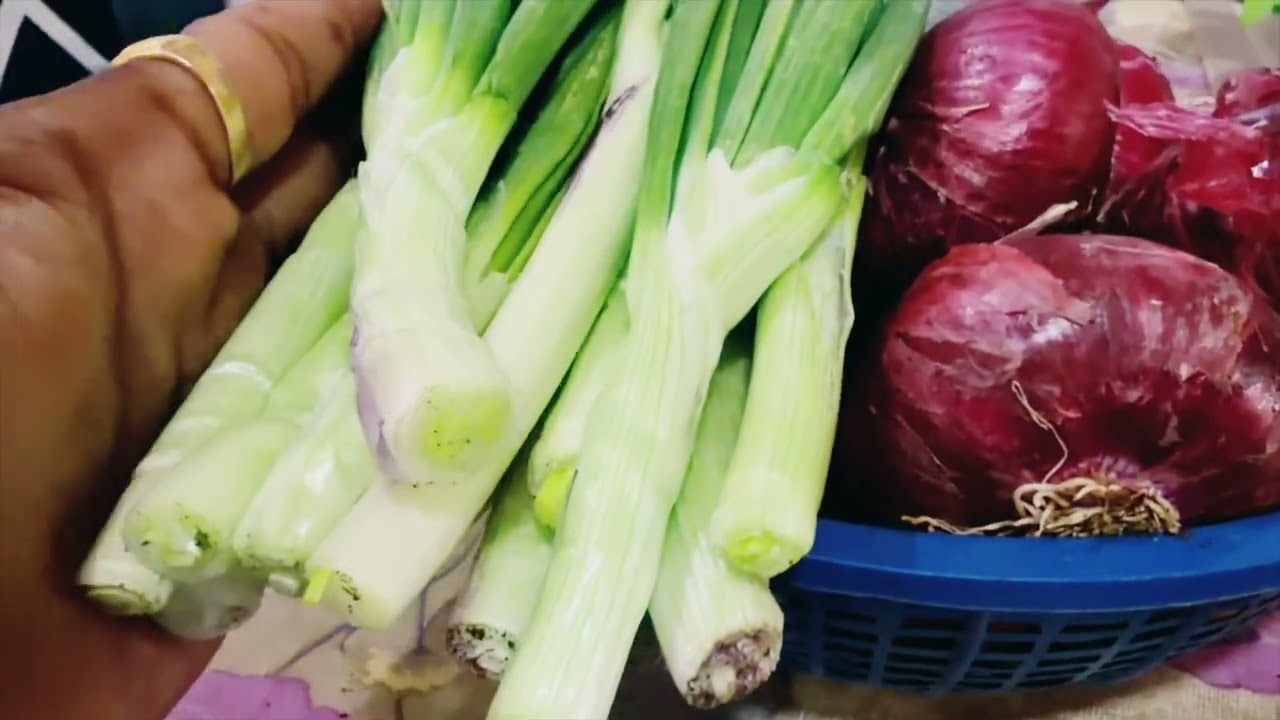 SCTवैदिक वापरले तर,पावसाळी कांदा,उन्हाळी कांद्यासारखा टिकतो,कांद्याचे लाखो रु.करून देणारे तंत्रज्ञान