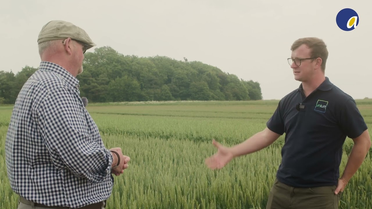 Maximise Potassium for Stronger, Healthier Crops – Wholly K Explained