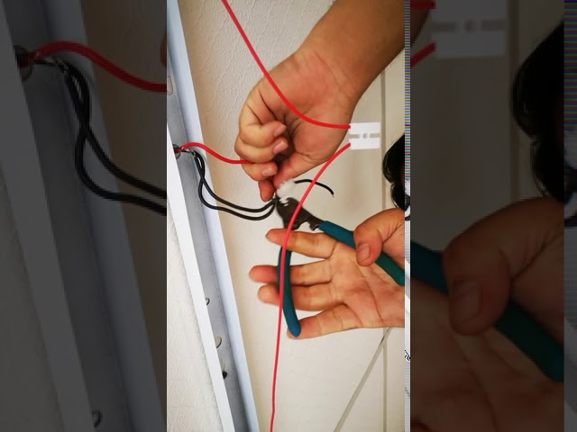 Cara Pasang Lampu Kalimantang Led : Diagram Wiring Diagram Lampu Led