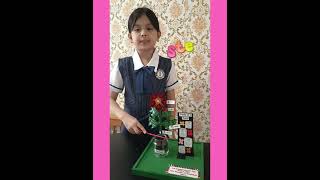 Parts of a Plant. Performance task in Science. Grade 3