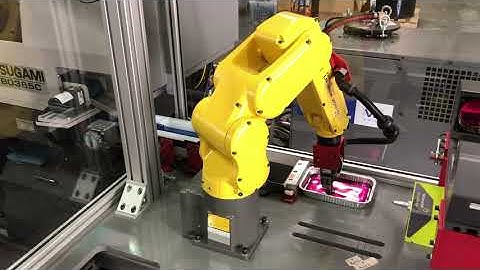 Robotic Fastener Machine Tending and Inspection