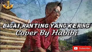 Bagai Ranting Yang Kering - Cover By Habibi