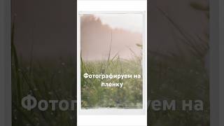 Пленочная фотография. #пленочнаяфотография #lomography #фотографмосква #фотография