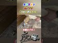 【DIY治具】長尺板を丸ノコで3mmにスライス！？厚みと長さによって使い分ける専用治具！？ #woodworking #大工 #diy＃丸ノコ＃治具