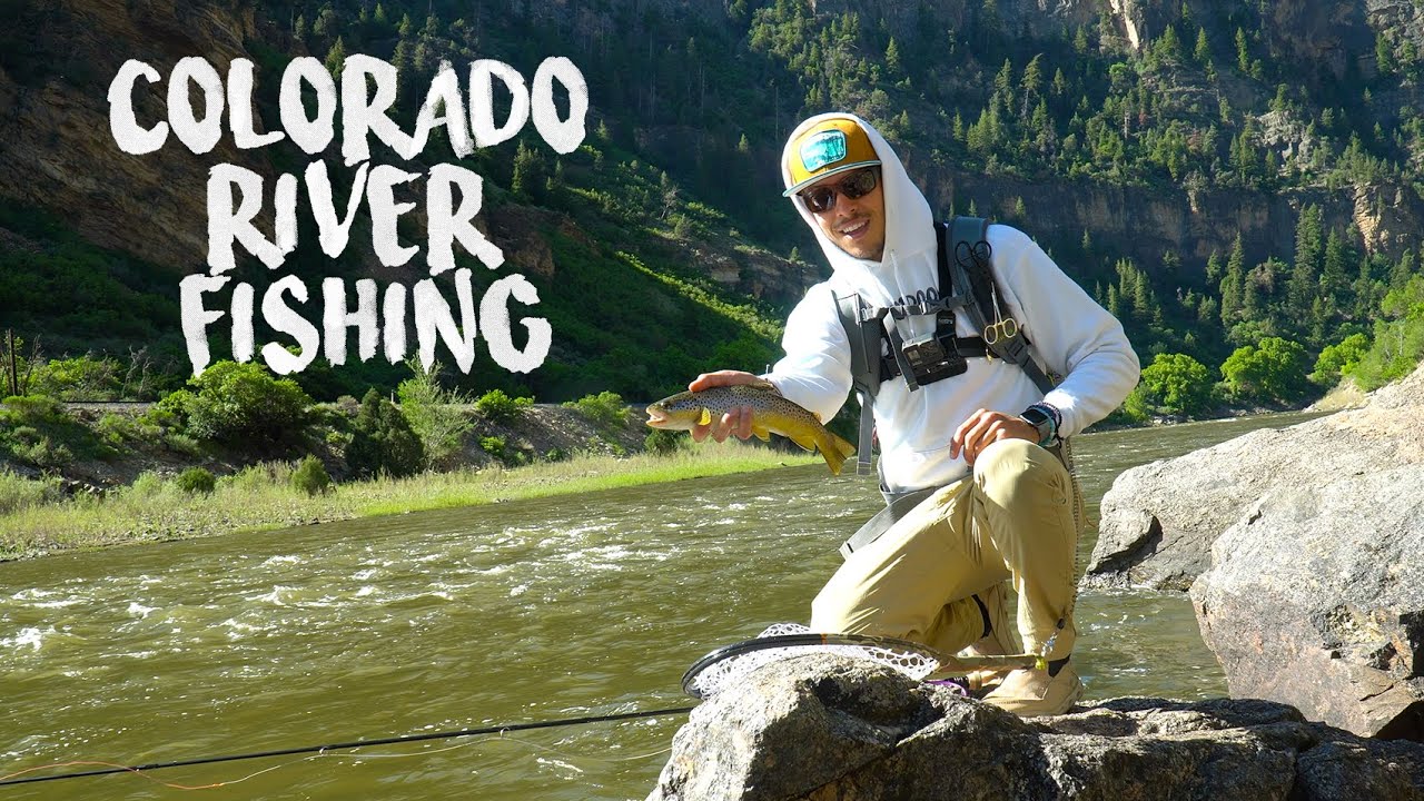Fly Fishing the Colorado River! YouTube