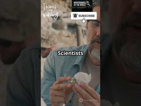 The Gravity-Locked Stone