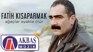 Fatih Kısaparmak - Ağaçlar Ayakta Ölür (4K Official Music Video) 🎧