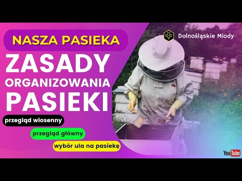 Zasady organizowania pasieki, przegląd wiosenny i główny, wybór ula #pasieka #przegląd #wiosenny