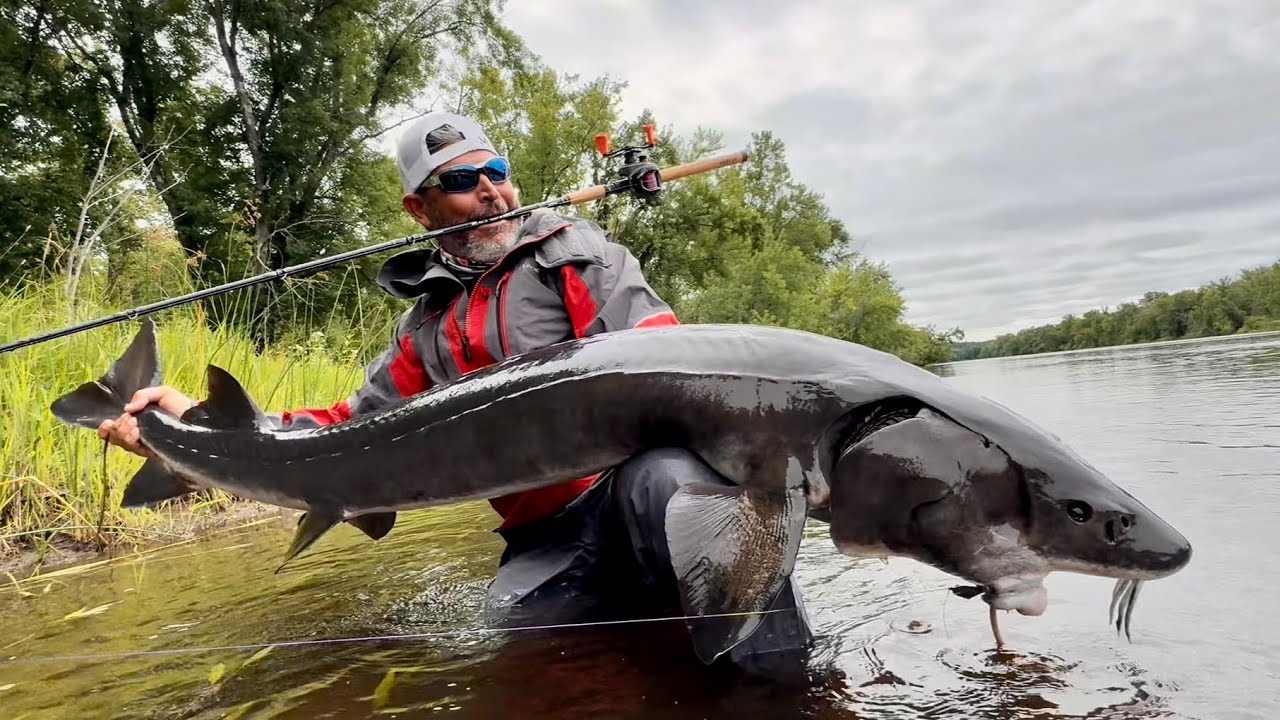 FUI EM BUSCA DO PEIXE QUE ME FALTAVA