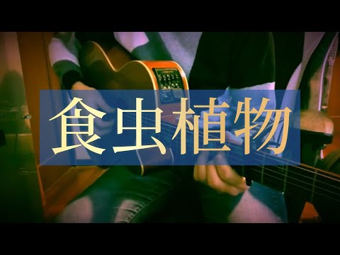 食虫植物 / 理芽 cover 市川周 【TikTok】