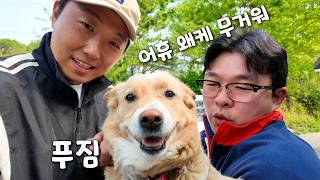 버려졌던 밤비 불쌍해서 살찌웠더니 너무 쪄버렸네요ㅋㅋㅋ🤣