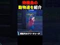 頭のおかしい動物がいる待機島がこちら
