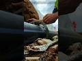 HDPE Pipe Surface Scraping Process | Precision Fusion Joint Preparation