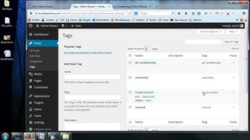 Complete WordPress Video Tutorial - 42 - Posts - Tags