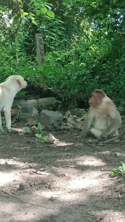 I'm so sorry 🤣🤣🤣