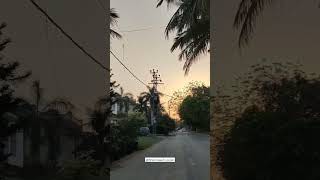 Aesthetic Walking Tale