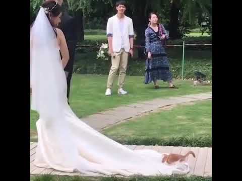 قتل حبيبته في يوم زواجها