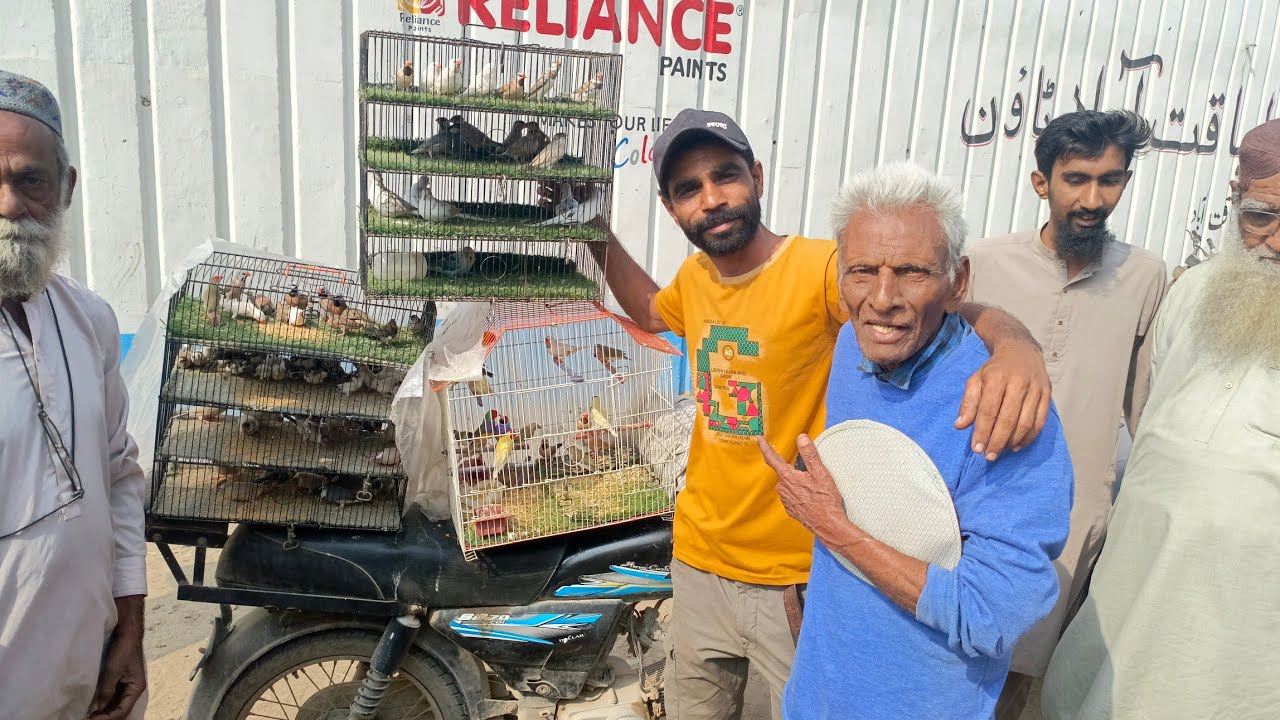 Sunday Lalukhet market 4_1_2026 Farhan birds YouTube channel