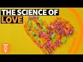 Understanding Romantic Love