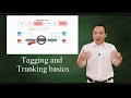 IEEE 802 1Q:  Tagging and Trunking 101