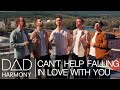 DAD Harmony Cant Help Falling In Love 