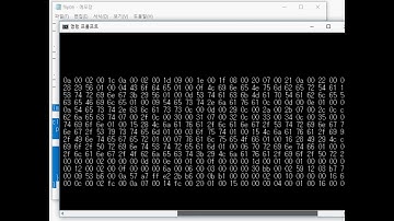 자바 프로그래밍: 이진 파일 Binary File 입출력
