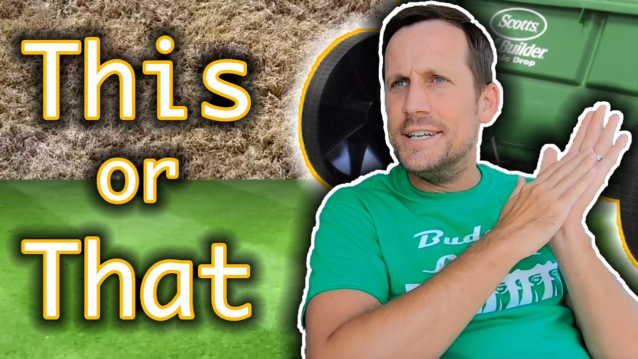 Should You Fall Overseed Bermudagrass Lawn w/ Ryegrass // Overseeding ...