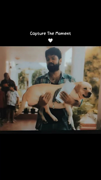 Charlie 777 kannada movie 🍿🎥🥹#777charlie #ytshorts #youtubeshorts #youtube #shorts #viralvideo#vlog